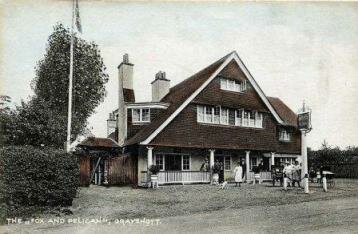 Fox and Pelican 1905