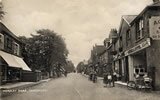 Co-op, Pitts fishmongers looking towards Hindhead c.1926